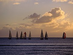 Sunset Sails, Oahu, Hawaii